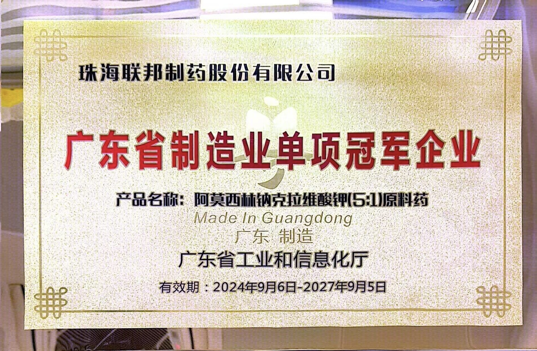 廣東省制造業(yè)單項冠軍企業(yè)